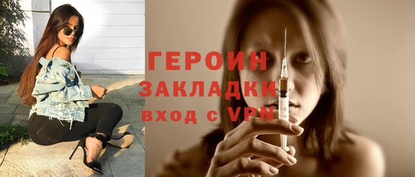 хмурый Аркадак