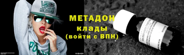 прущие грибы Арсеньев