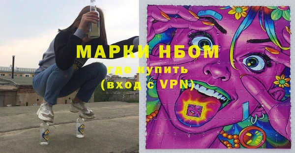 прущие грибы Арсеньев