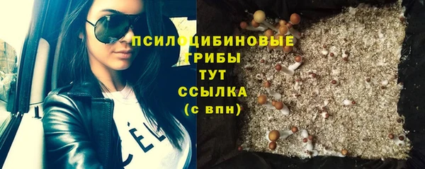 хмурый Аркадак