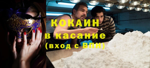 хмурый Аркадак