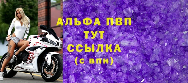 прущие грибы Арсеньев