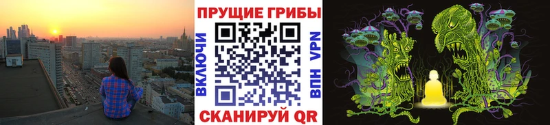 Псилоцибиновые грибы Cubensis  купить наркотик  Шилка 